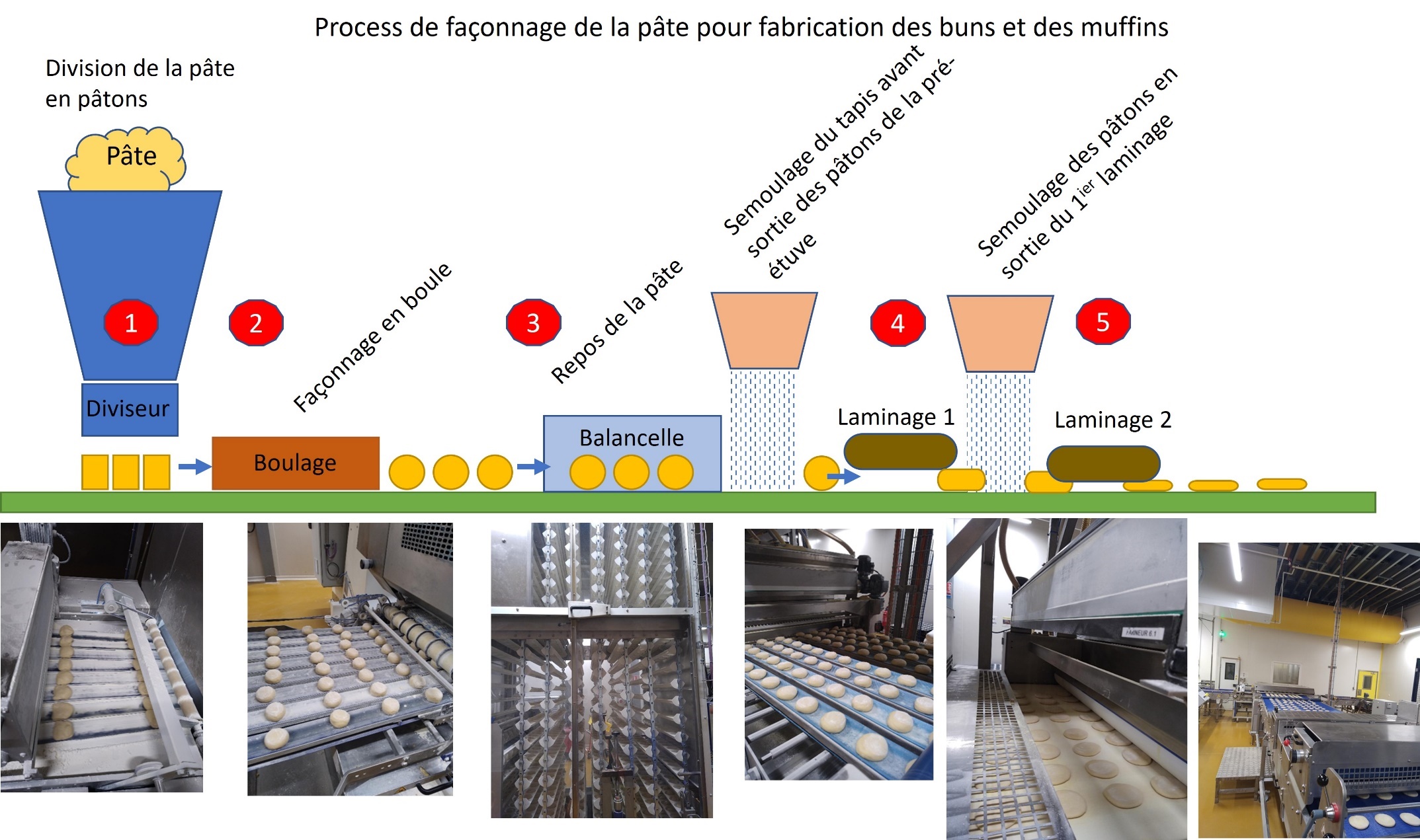 Schéma illustré du façonnage des muffins et des deux ajouts de semoule